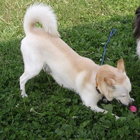 A9375d39 922c 42e6 8de8 ca0098de8965