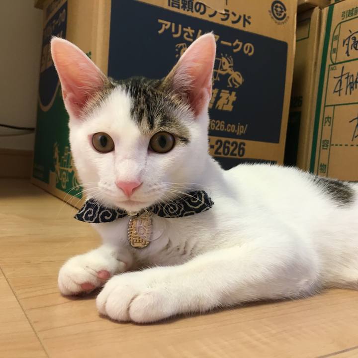 A937e469 e0d5 4703 9422 d17a7be09a53