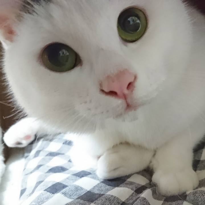 A938370e c65c 433b 9bff fc3e4e45a641