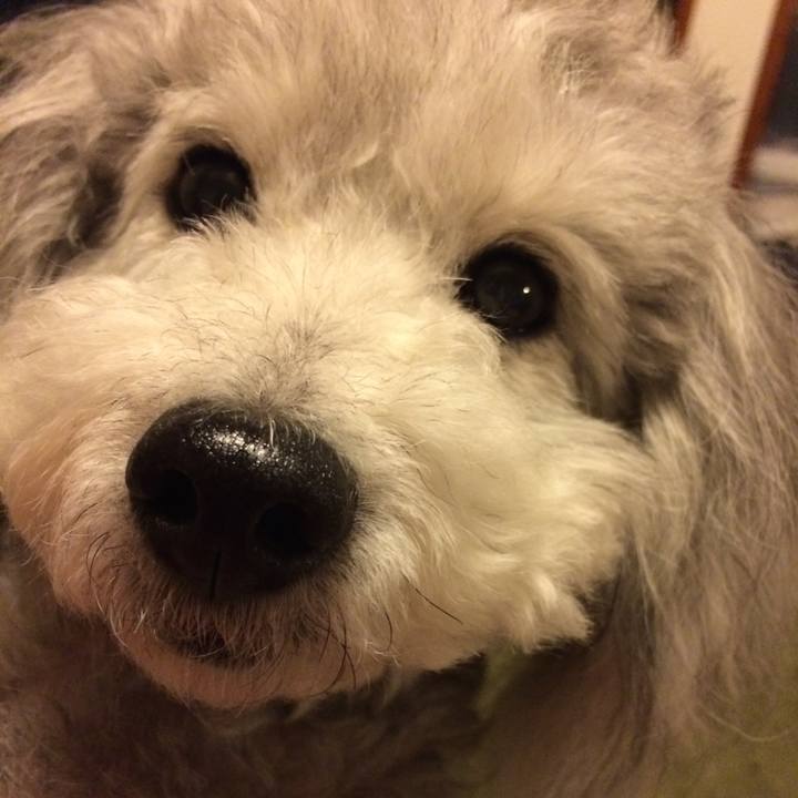 A93849df f0ae 4eff 80ba 81aacf8ddbf1