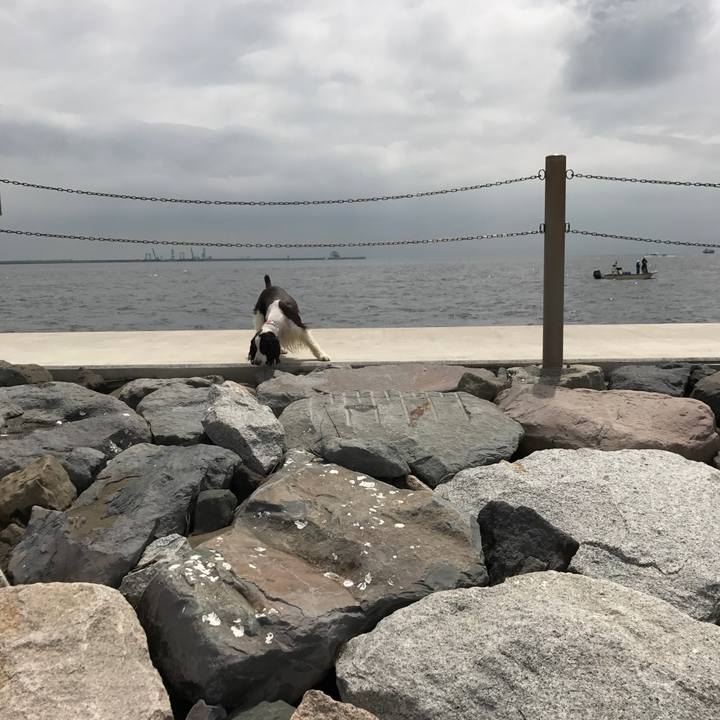 A93878ec fb8d 4f12 b9d5 9c38c53e4939