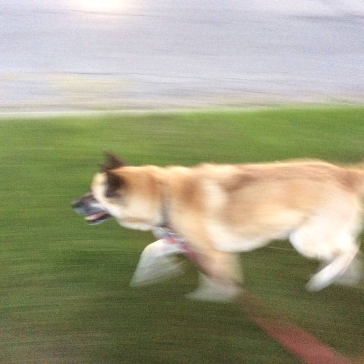 A938bc63 ee42 446d a23a 89ec342b6639