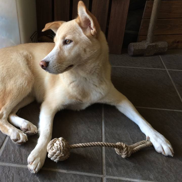 A939c50d 58f1 4725 b7d2 4b29c3069888