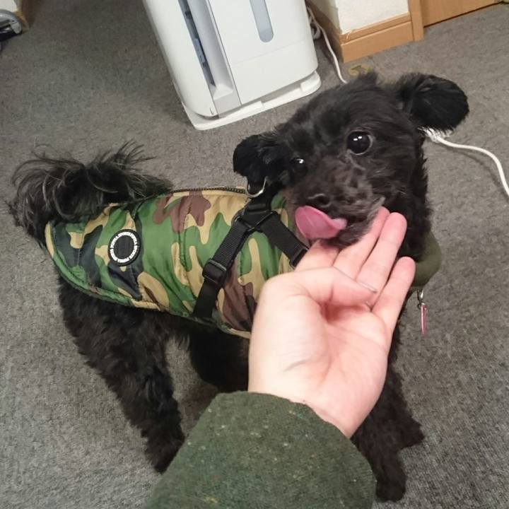 A93a48ca 2273 48e8 a6d0 78721f21e951