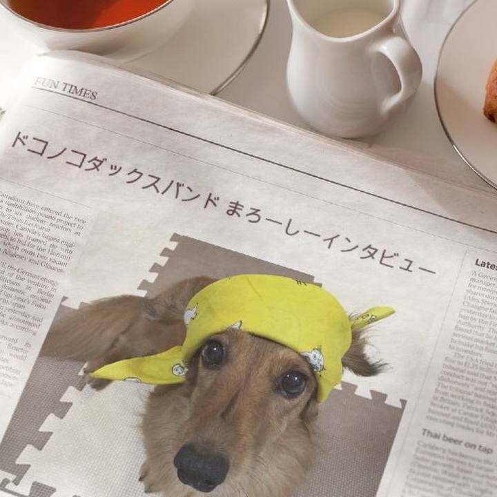 A93a64c3 05e4 43b1 8bee 96355ec02d12