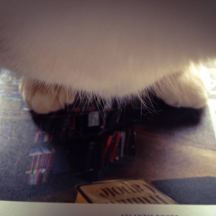 A93aa14b c499 4d33 a611 5f3c06d7f2d0