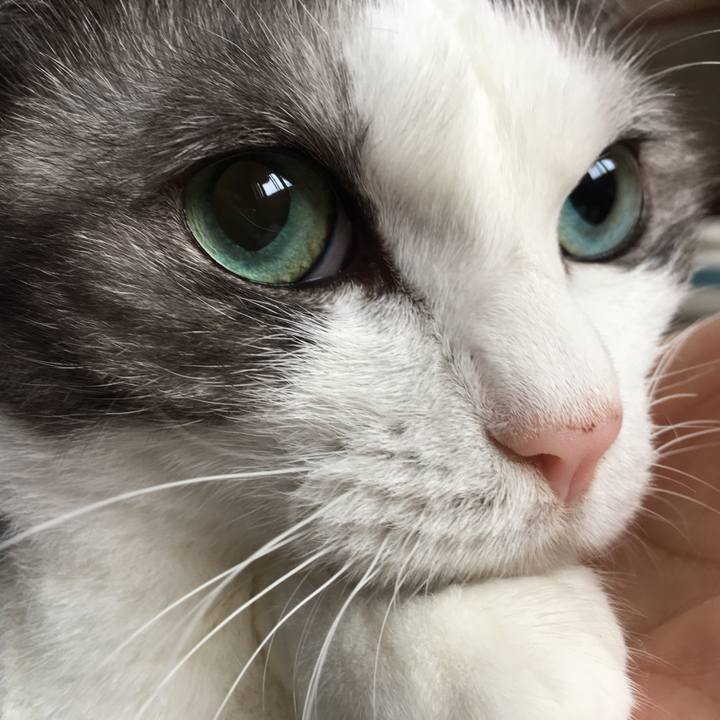 A93aa6ac 7d6f 471f bde3 0bc50b703a66