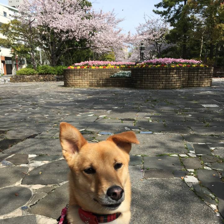 A93b8d73 afd5 4306 be3d 2ba6facc1f78