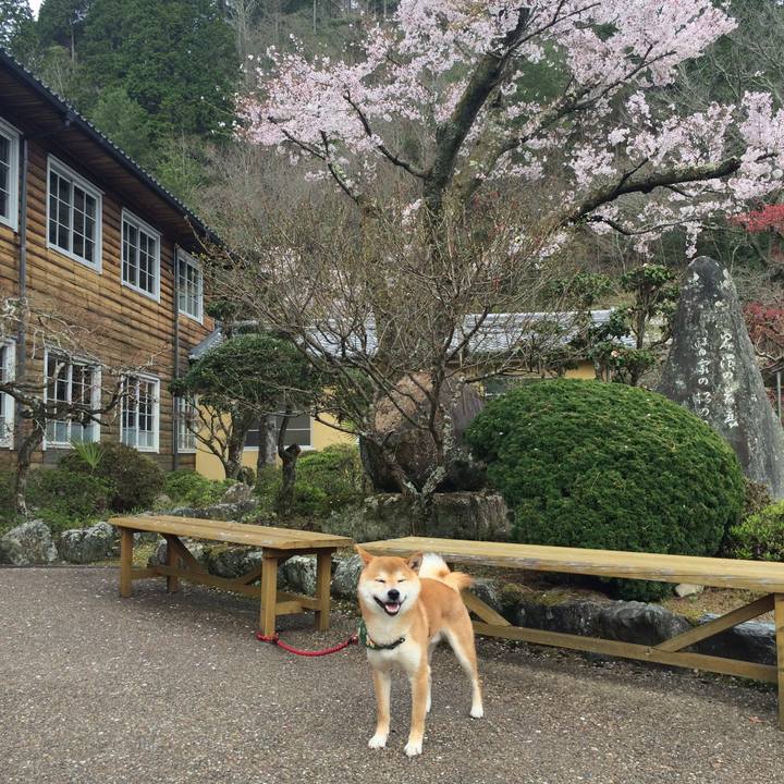 A93bae09 fddd 4d62 86b4 ad78e9b77994