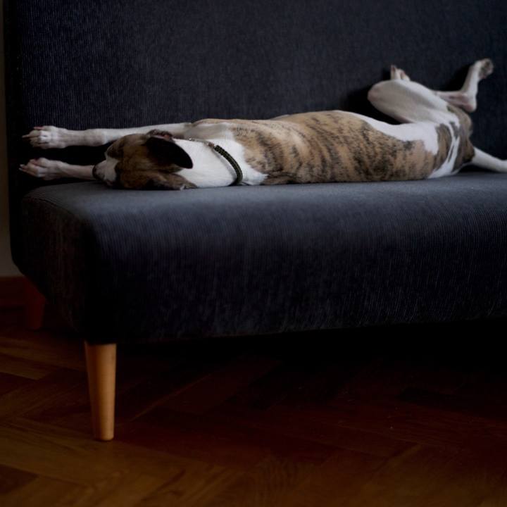 A93c3933 3968 4816 a29a a7f3d1f67a9c