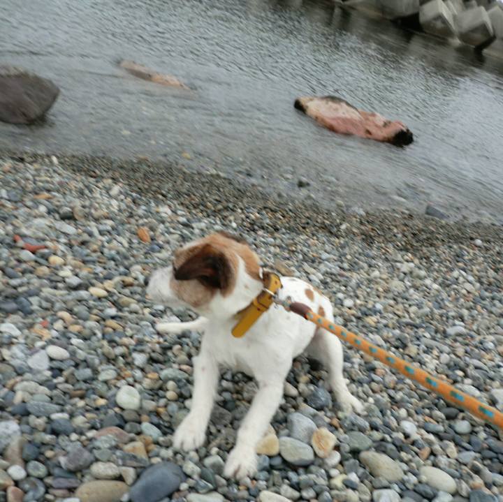 A93c66ef ff49 4fcb 8f9c cc40920b31b5