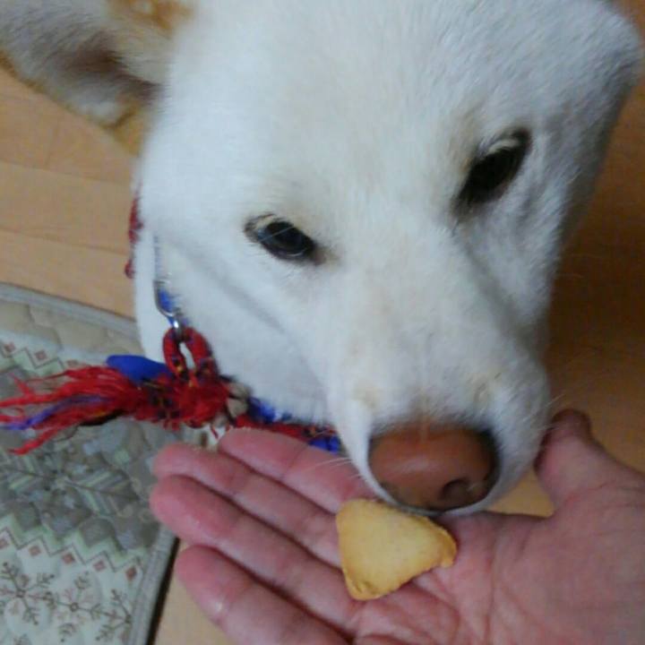 A93cdc39 b852 4f5e ad50 ebca9a6be454