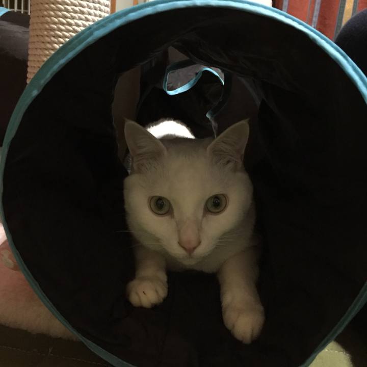 A93d8203 e356 4088 8bf1 43feb1f8d3fa