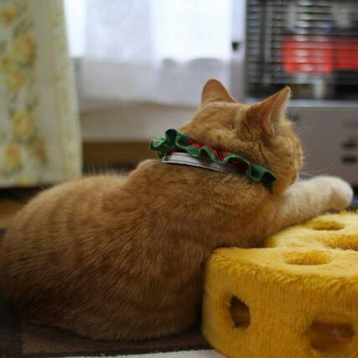 A93d921e 2821 460c 838d 60354a3a70e9