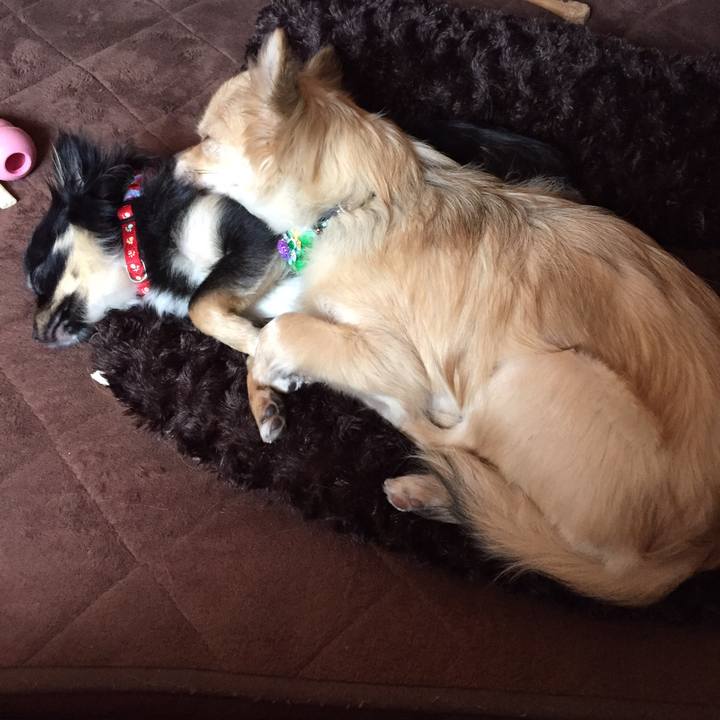 A93dcf1c 9229 454d b63f 3502db92f370