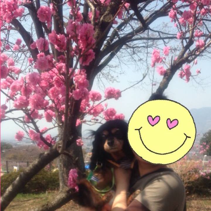 A93e3273 ebb5 487c 859e 13eab20c153e