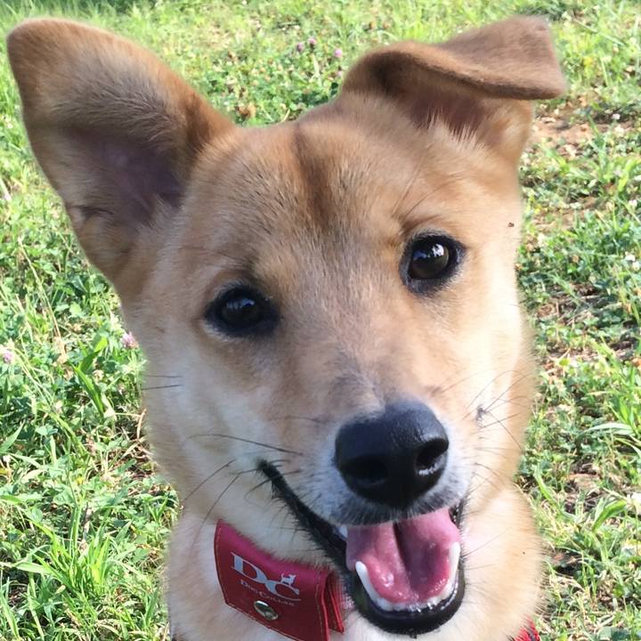 A93e3d9d cbd2 4272 89ca d45eb011f9f7