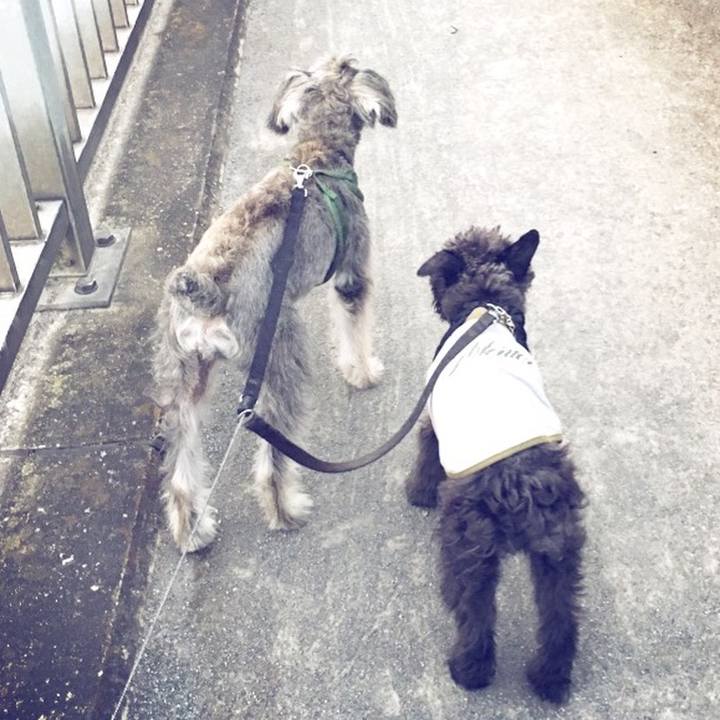 A93e6846 8b77 4080 a45b de692e60fe8a