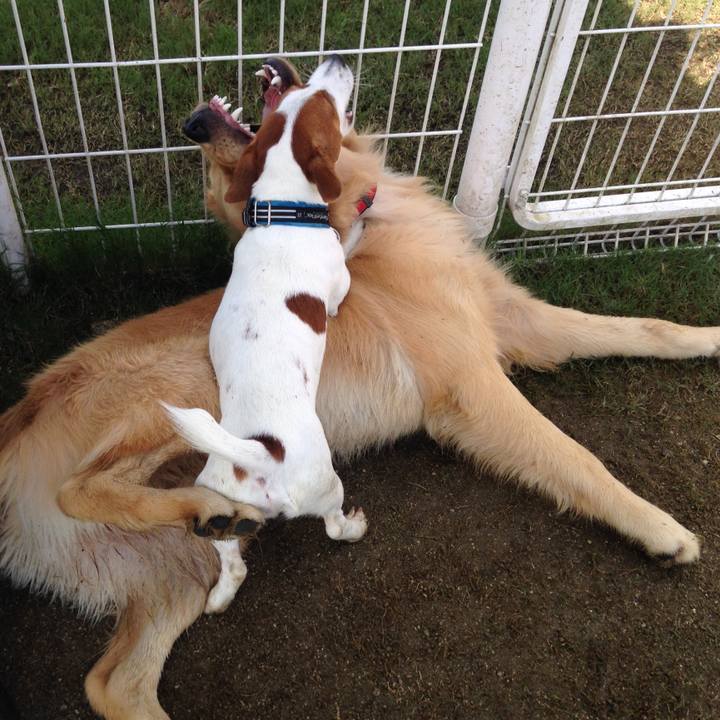 A93ec6d7 7ffc 4d36 bdb3 899ac2343300