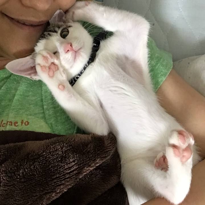 A93eeb65 d3a8 4a93 9883 416ebf72342d