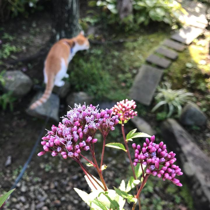 A93f3df3 dc78 4625 a57f de934bef2532