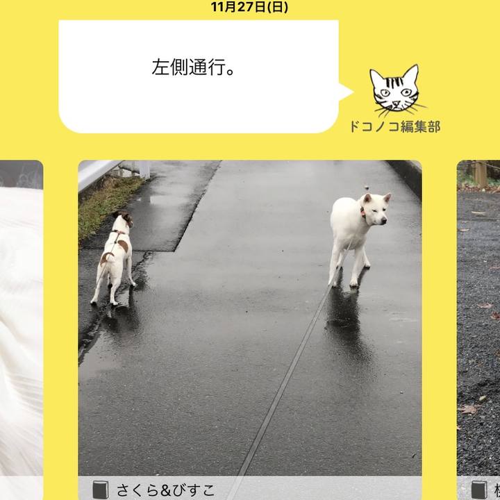 A93f6497 8de3 48f9 889d 16e1e941f661