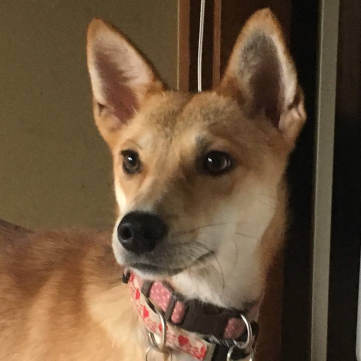 A93f74dd d7e7 472a b892 55ef510160c5