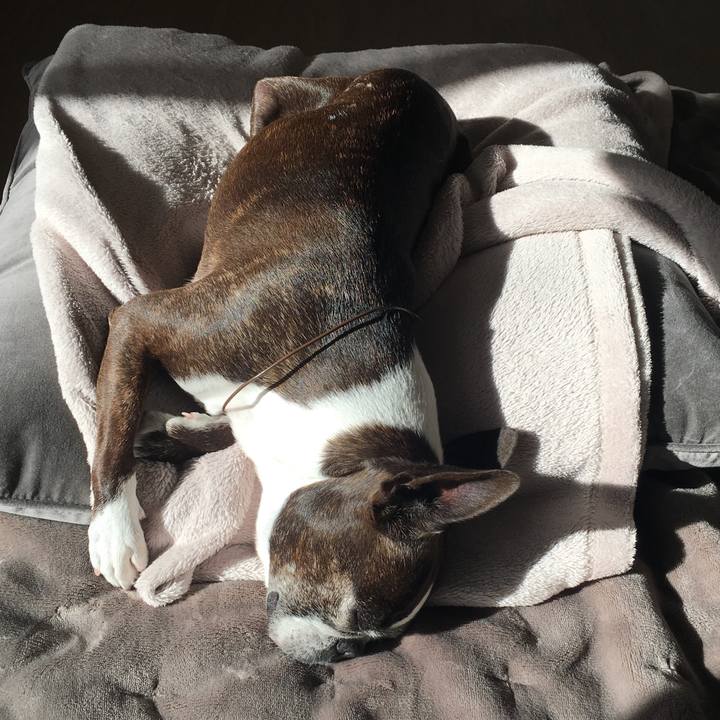 A93f9e7d 10c7 4acd aaa7 8fbc25478799