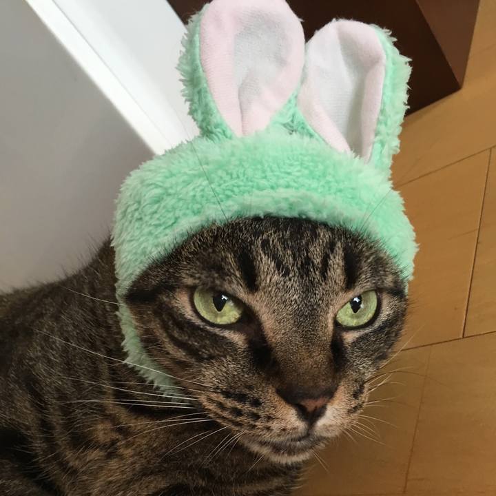 A93fa2f8 7155 48e4 af9e 12b961ea70b9