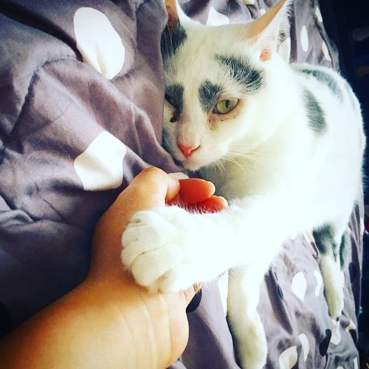 A93fc240 062b 495c b92a 32ca14f9e374