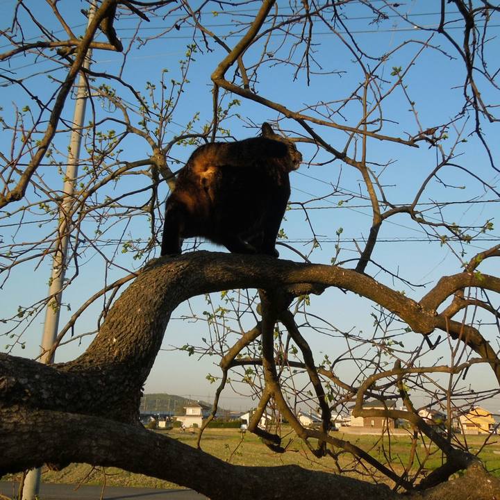 A940cc66 007f 492c af58 c44c862496a9