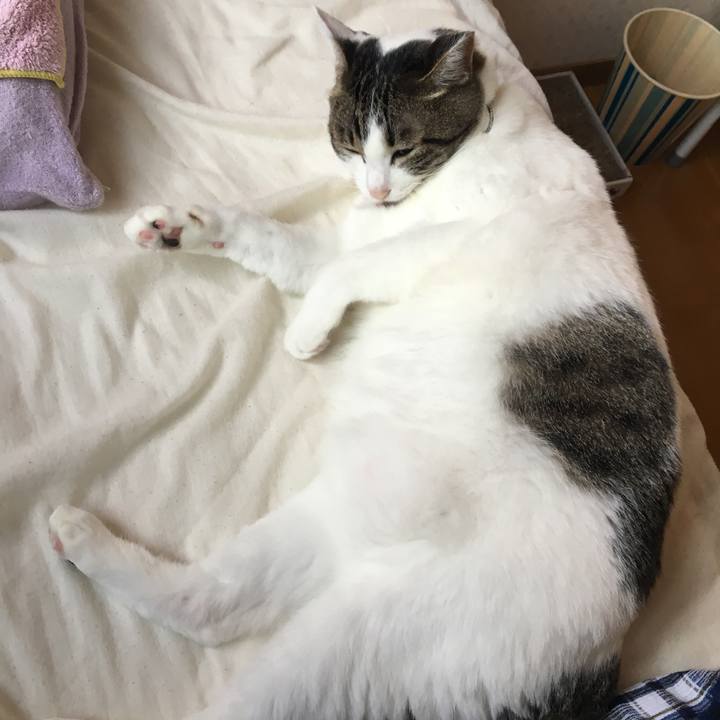 A9412423 485e 4de4 adb9 b8bbc470f9c5