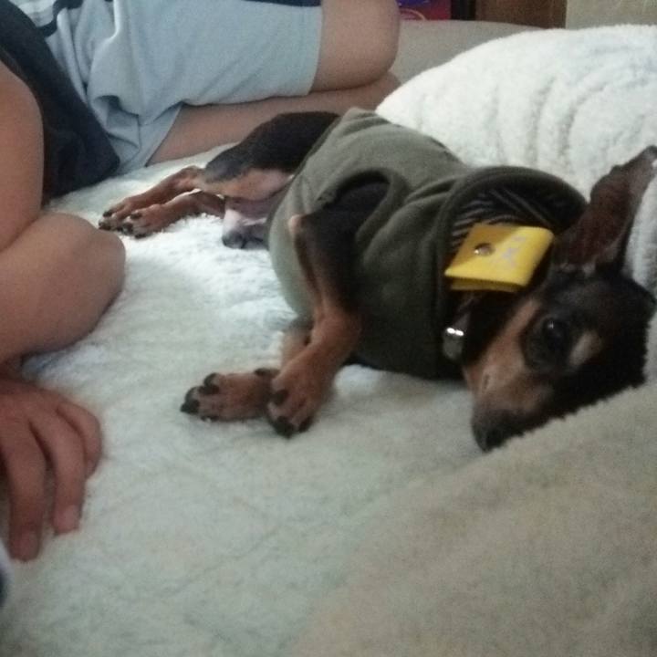 A941462a e37b 45ce abba a45dbf62b67f