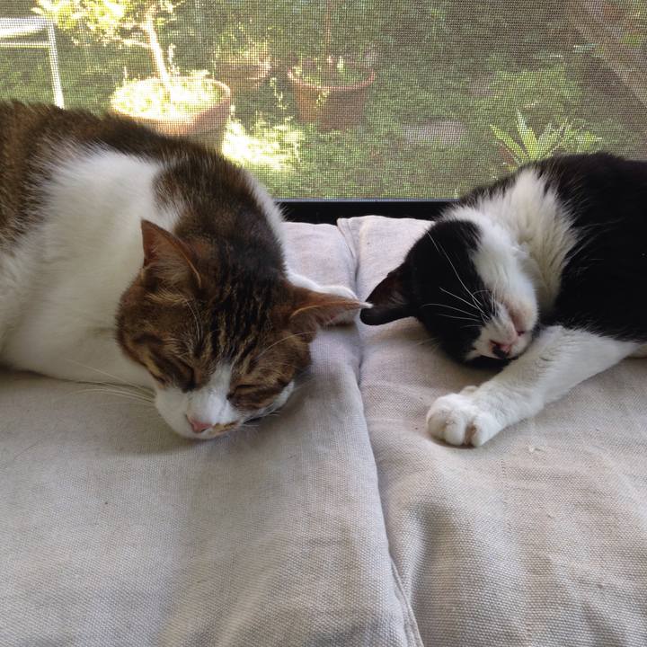 A9419c8a 2f8c 4377 8a44 c1cb36661c57