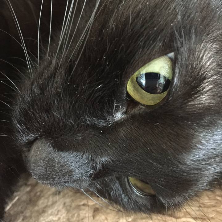 A94288ee 203f 4c6e a2a3 b26565719383