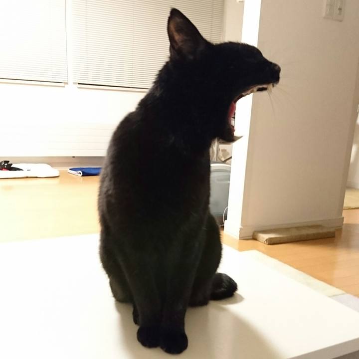 A942d797 298d 4a6e 8e83 d41c464fc9ad