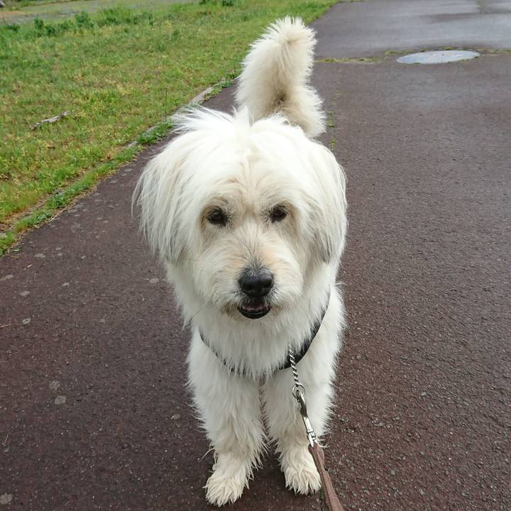 A94332e4 fb0a 43ae 87b4 80aeba4c8a3f