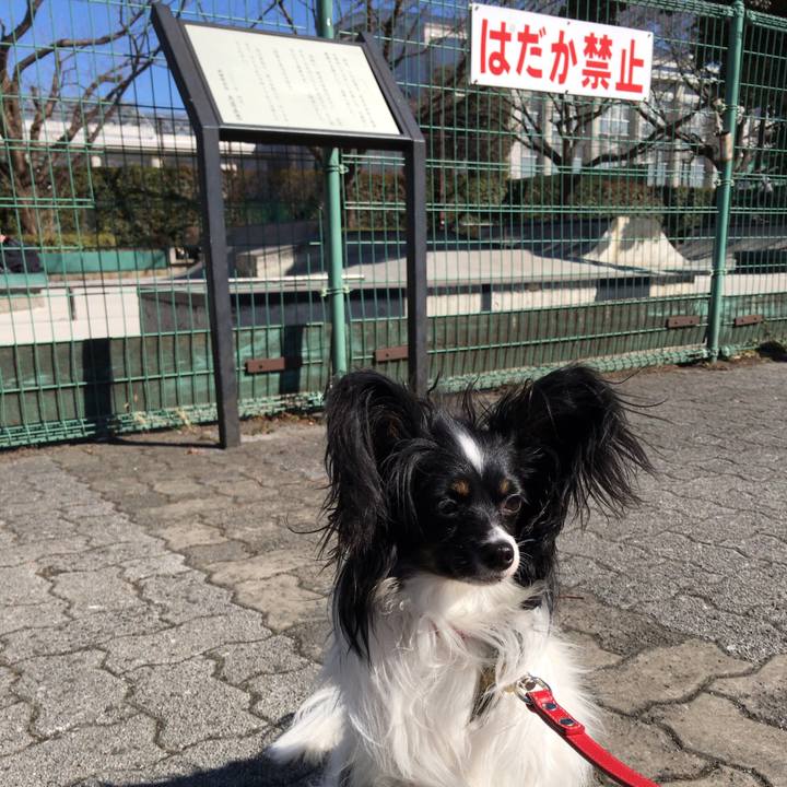 A943442f 7593 433b 9669 21719028a832