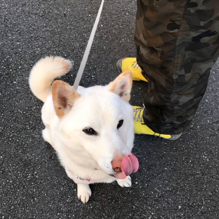 A9437683 c762 4cfe b46f d6c318ca8d4a