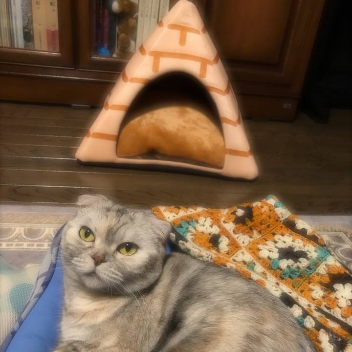 A9439712 3e83 406b 811b 31595c16c268