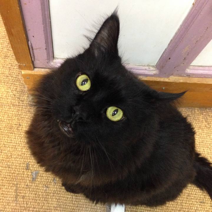 A943ae05 0880 4294 af84 0c93a902b07a