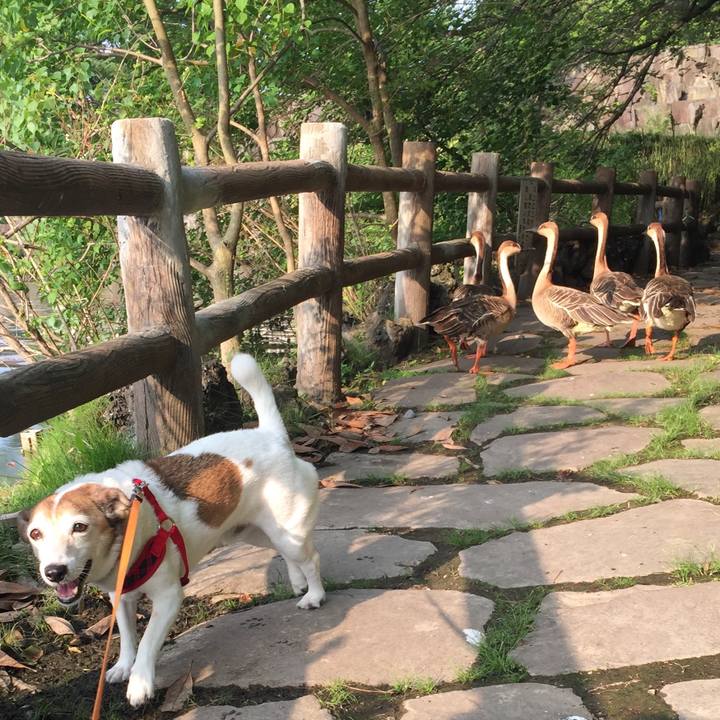 A943af0b 4008 4f0b 80f3 8a24b81d89c7