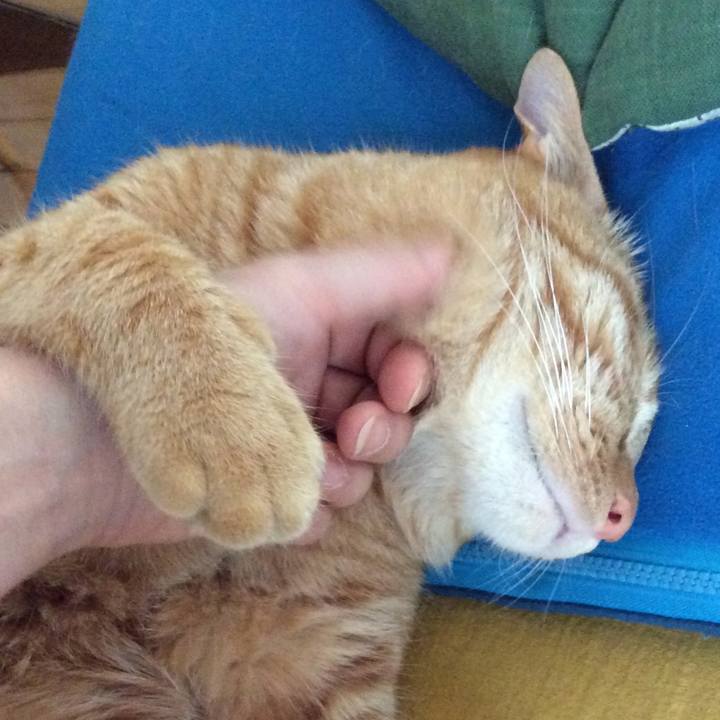 A943c587 4968 468b b504 a02e1465a97e