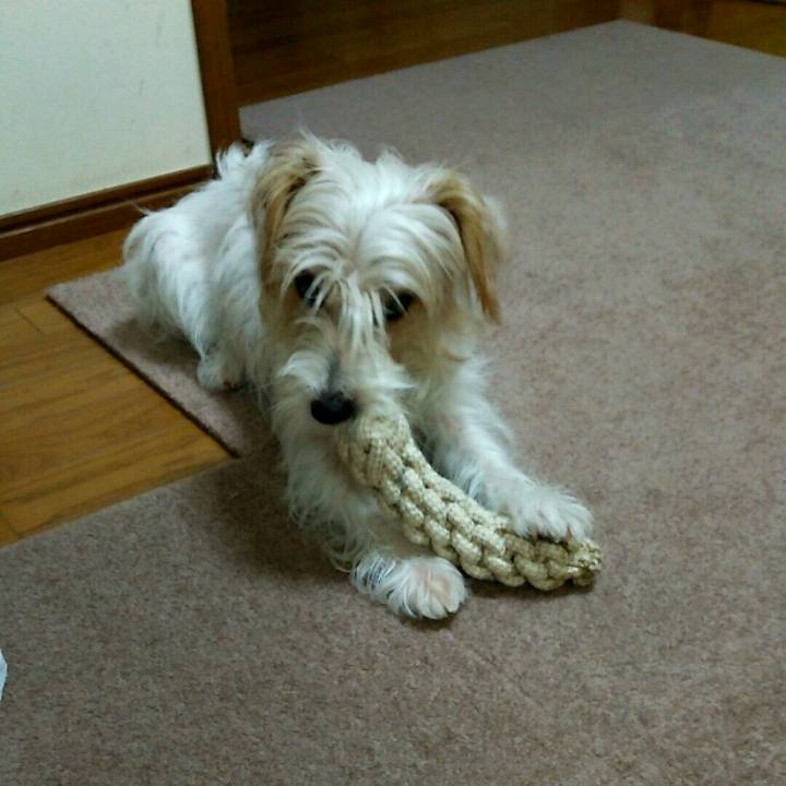 A943d54d 146d 4f4a a1de 9ebb97cab4d8