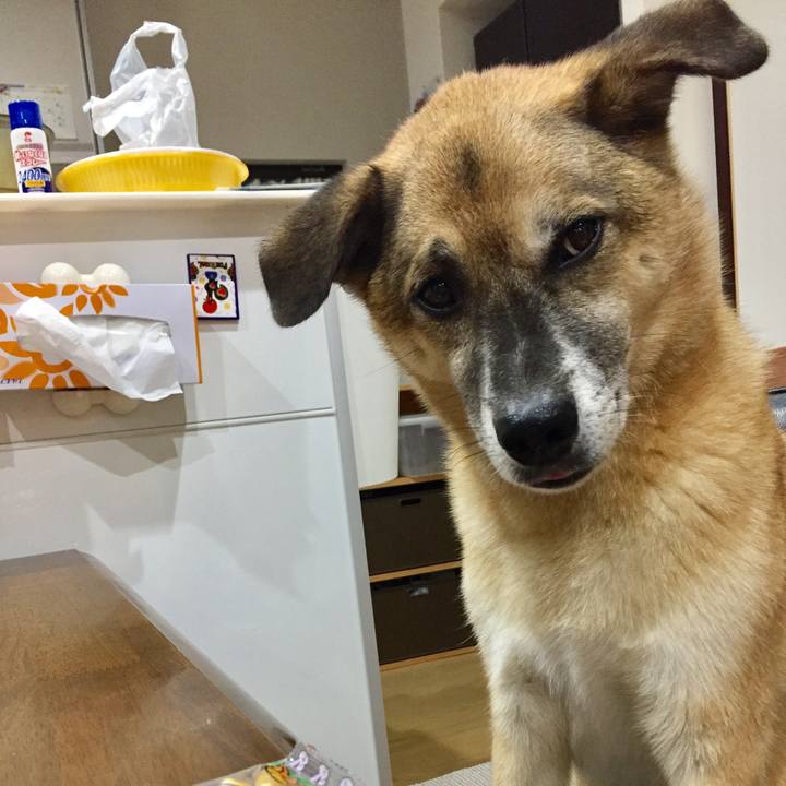 A943fa85 cf33 416e a372 693bae6e463d