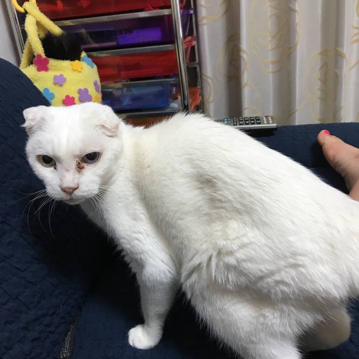 A943fbcf 2497 4776 a660 fe8d734fa083