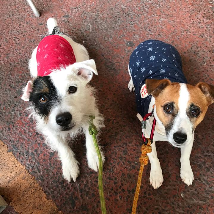 A9443fb5 a895 4f06 89e2 34f57bdcb41a