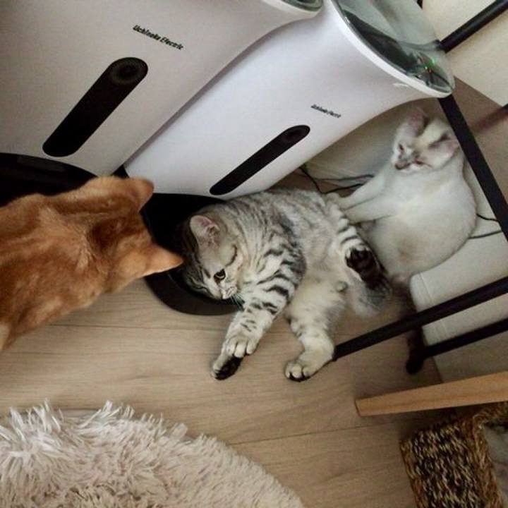 A94496e1 492c 47d9 ae9b b6f6bd08e58b