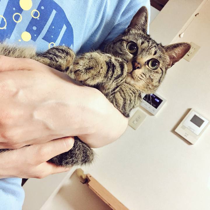 A9449e8f 48df 4df4 8f3d 8e410da1c052