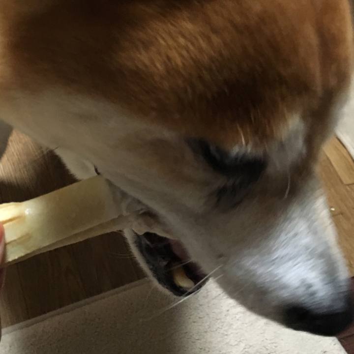 A944a032 e0db 4ea7 b1d0 3c7c5440b532